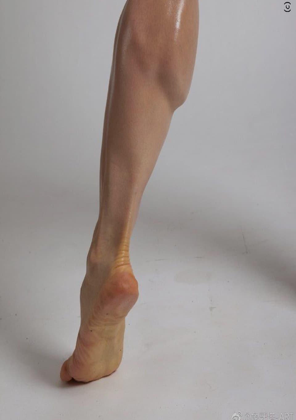 leg